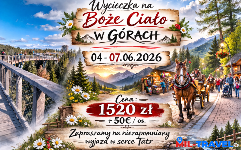 grafika_bez_numerow
